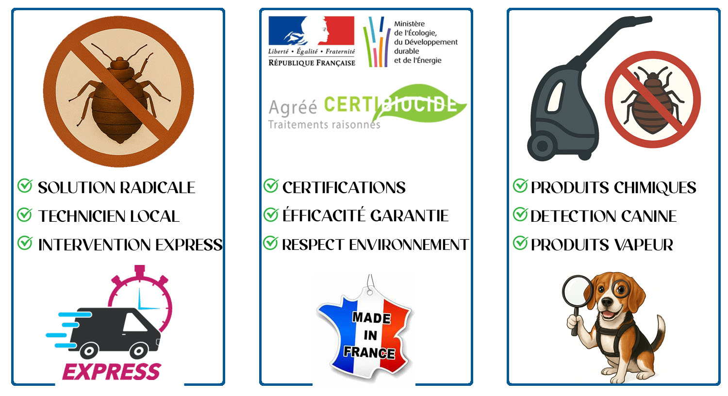 Punaises de Lit Villeneuve la Garenne